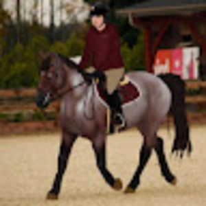 Meet your Posher, Brooklyn